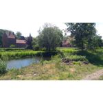 FOTOS AUS DIESEM HANDY