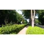 FOTOS AUS DIESEM HANDY