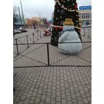 PICTURES FROM THIS PHONE