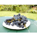 LAS FOTOS HECHAS CON ESTE TELÉFONO