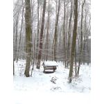 来自这款手机的图片