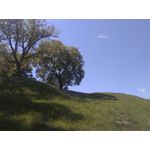 来自这款手机的图片