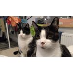 PICTURES FROM THIS PHONE