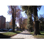 LAS FOTOS HECHAS CON ESTE TELÉFONO