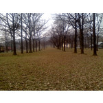 來自這款手機的圖片