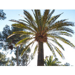 FOTOS AUS DIESEM HANDY