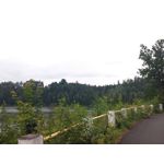 Pictures by this phone LG G2 Mini