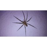 PICTURES FROM THIS PHONE