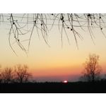 PICTURES FROM THIS PHONE