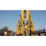 PICTURES FROM THIS PHONE