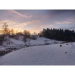 PICTURES FROM THIS PHONE