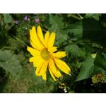 PICTURES FROM THIS PHONE