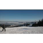 PICTURES FROM THIS PHONE