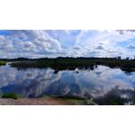 來自這款手機的圖片