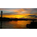 來自這款手機的圖片