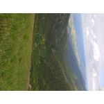 PHOTOS FAITES AVEC CE SMARTPHONE