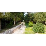 Selbst von Nutzern gemachte Bilder LG G7 ThinQ Selbst von Nutzern gemachte Bilder LG G7 ThinQ