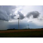 Selbst von Nutzern gemachte Bilder LG G7 ThinQ Selbst von Nutzern gemachte Bilder LG G7 ThinQ