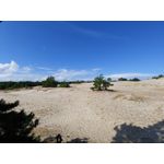 PHOTOS FAITES AVEC CE SMARTPHONE