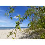 Selbst von Nutzern gemachte Bilder LG G7 ThinQ Selbst von Nutzern gemachte Bilder LG G7 ThinQ