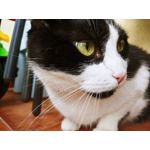 Selbst von Nutzern gemachte Bilder LG G7 ThinQ Selbst von Nutzern gemachte Bilder LG G7 ThinQ