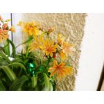 Selbst von Nutzern gemachte Bilder LG G7 ThinQ Selbst von Nutzern gemachte Bilder LG G7 ThinQ