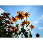 Selbst von Nutzern gemachte Bilder LG G7 ThinQ Selbst von Nutzern gemachte Bilder LG G7 ThinQ