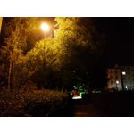 Selbst von Nutzern gemachte Bilder LG G7 ThinQ Selbst von Nutzern gemachte Bilder LG G7 ThinQ