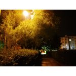 Selbst von Nutzern gemachte Bilder LG G7 ThinQ Selbst von Nutzern gemachte Bilder LG G7 ThinQ