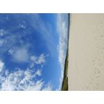 Selbst von Nutzern gemachte Bilder LG G7 ThinQ Selbst von Nutzern gemachte Bilder LG G7 ThinQ