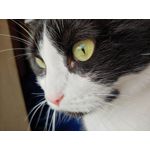 Selbst von Nutzern gemachte Bilder LG G7 ThinQ Selbst von Nutzern gemachte Bilder LG G7 ThinQ