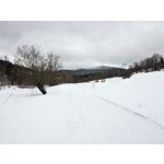 来自这款手机的图片