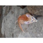 来自这款手机的图片