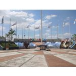 来自这款手机的图片