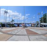 来自这款手机的图片