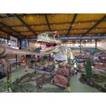 Les photos des utilisateurs LG G8S ThinQ