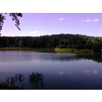 用戶照片 LG GD880 Mini