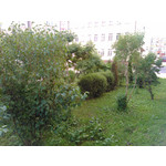 用戶照片 LG GD880 Mini