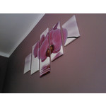 用戶照片 LG GD880 Mini