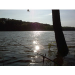 FOTO FATTE CON QUESTO TELEFONO