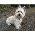 FOTO FATTE CON QUESTO TELEFONO