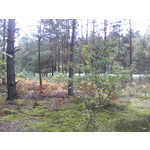 PHOTOS FAITES AVEC CE SMARTPHONE