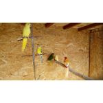 Les photos des utilisateurs LG K10 2017 M250