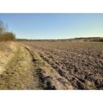 PICTURES FROM THIS PHONE