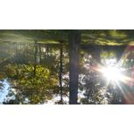 PICTURES FROM THIS PHONE