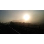 PICTURES FROM THIS PHONE