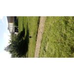 FOTO'S VAN DEZE TELEFOON