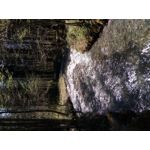 来自这款手机的图片