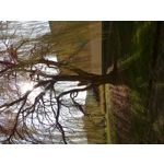 来自这款手机的图片