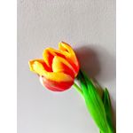 來自這款手機的圖片